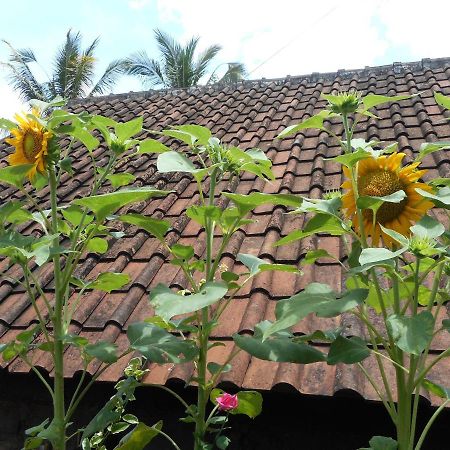 Ming Homestay Sidemen  Exterior foto