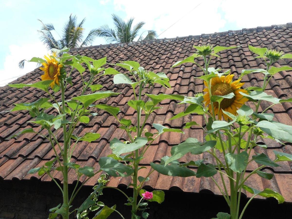 Ming Homestay Sidemen  Exterior foto