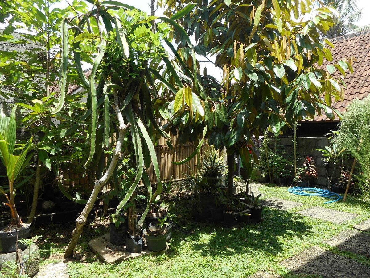 Ming Homestay Sidemen  Exterior foto